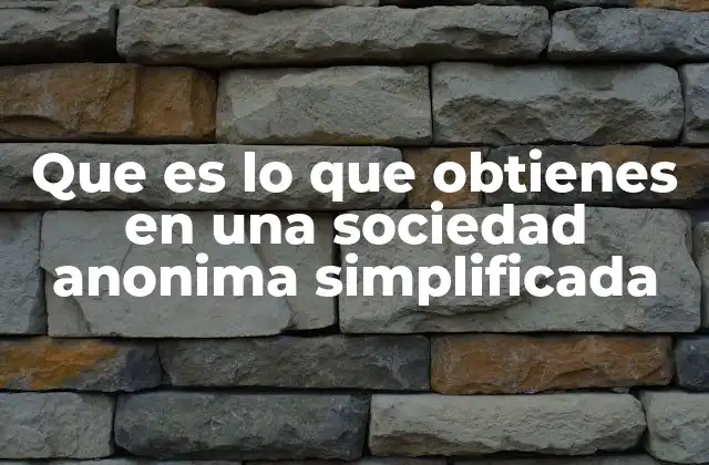 Que es Lo que Obtienes en una Sociedad Anonima Simplificada