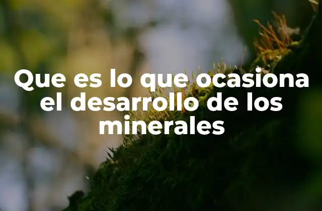 Que es Lo que Ocasiona el Desarrollo de los Minerales