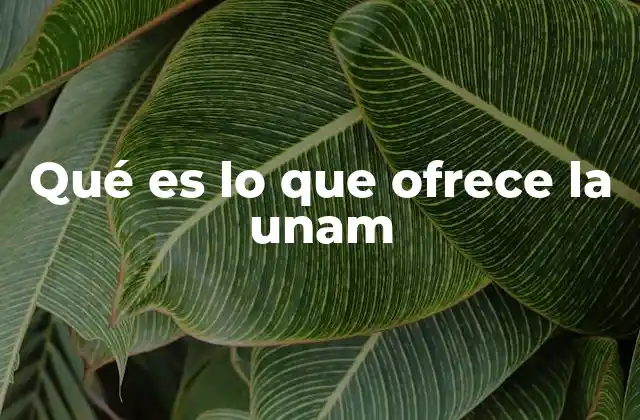 Qué es Lo que Ofrece la Unam
