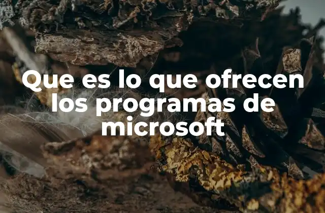 Que es Lo que Ofrecen los Programas de Microsoft