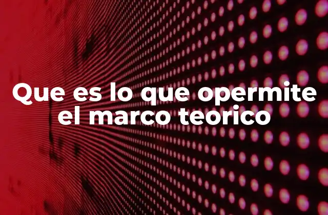 Que es Lo que Opermite el Marco Teorico