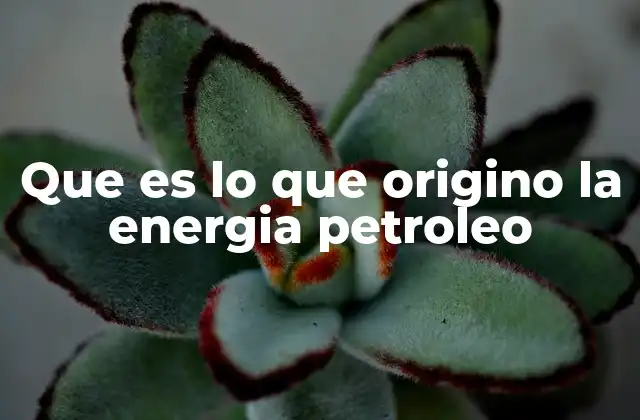 Que es Lo que Origino la Energia Petroleo