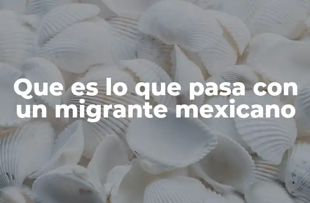 Que es Lo que Pasa con un Migrante Mexicano