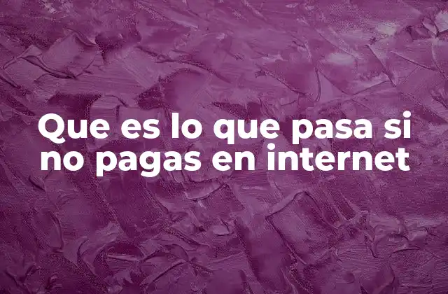 Que es Lo que Pasa Si No Pagas en Internet
