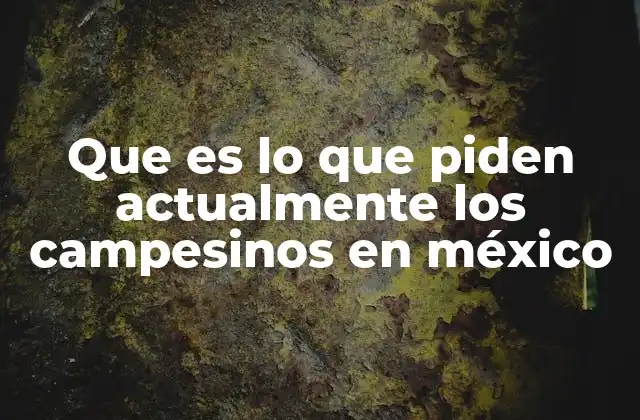 Que es Lo que Piden Actualmente los Campesinos en México