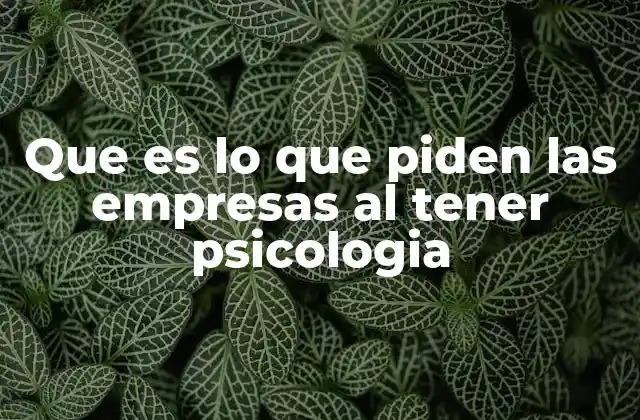 Que es Lo que Piden las Empresas Al Tener Psicologia