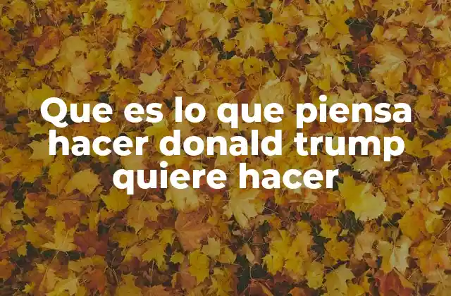 Que es Lo que Piensa Hacer Donald Trump Quiere Hacer