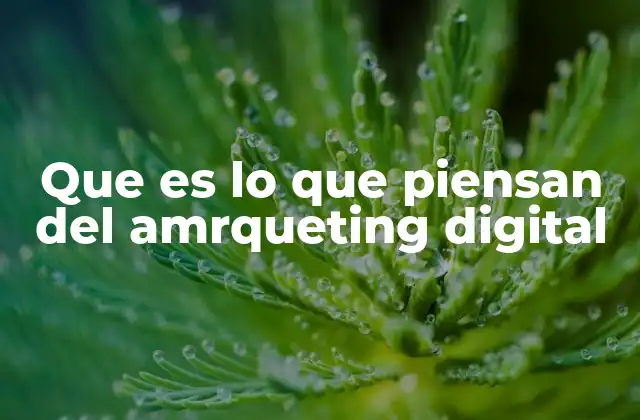 Que es Lo que Piensan Del Amrqueting Digital
