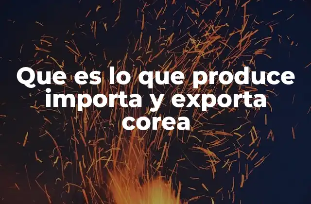 Que es Lo que Produce Importa y Exporta Corea