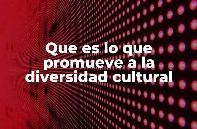 Que es Lo que Promueve a la Diversidad Cultural