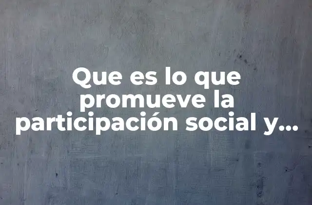 Que es Lo que Promueve la Participación Social y Política