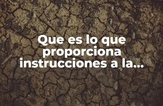 Que es Lo que Proporciona Instrucciones a la Computadora