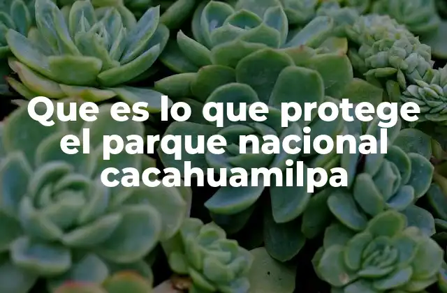 Que es Lo que Protege el Parque Nacional Cacahuamilpa
