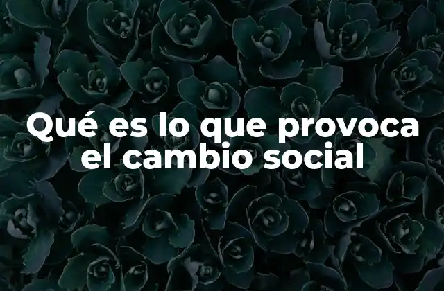 Qué es Lo que Provoca el Cambio Social