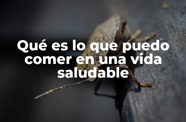 La base de una alimentación equilibrada