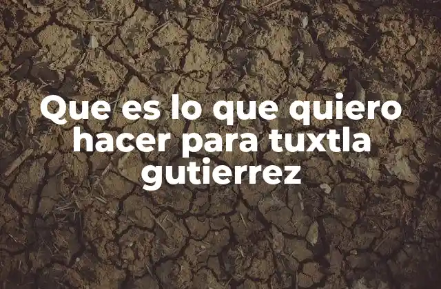 Que es Lo que Quiero Hacer para Tuxtla Gutierrez
