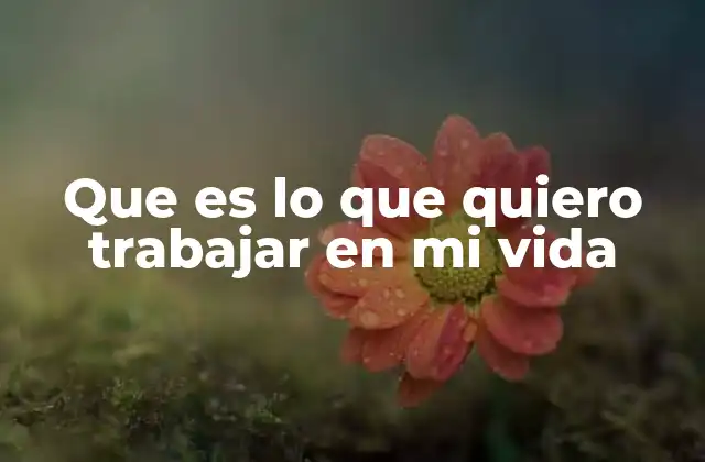 Cómo encontrar tu propósito profesional