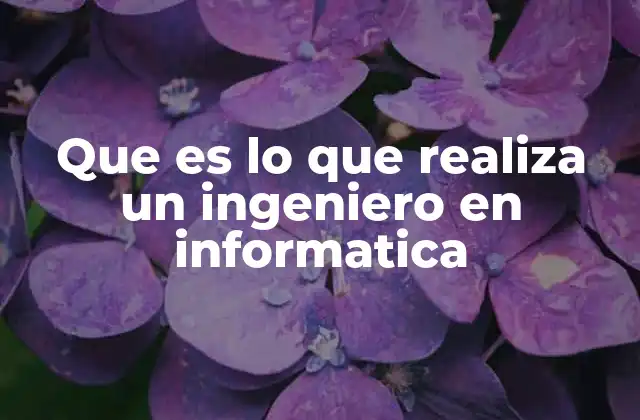 Que es Lo que Realiza un Ingeniero en Informatica 2 El rol de un profesional en tecnología detrás de los sistemas digitales