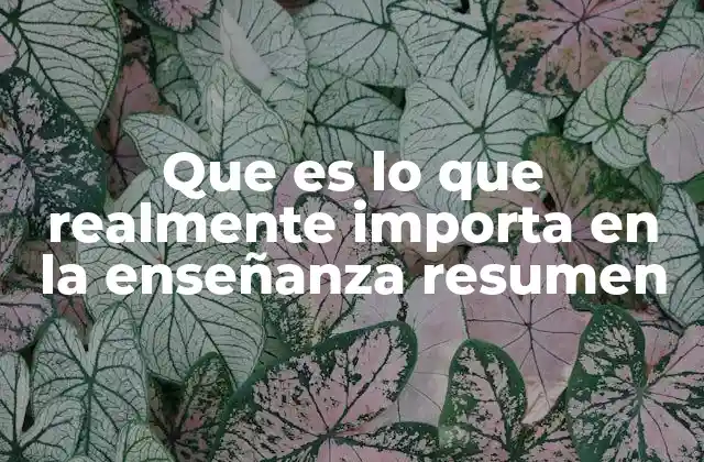 Que es Lo que Realmente Importa en la Enseñanza Resumen