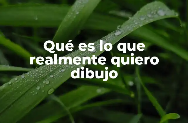 Qué es Lo que Realmente Quiero Dibujo