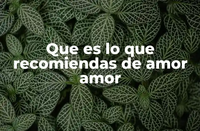 Que es Lo que Recomiendas de Amor Amor