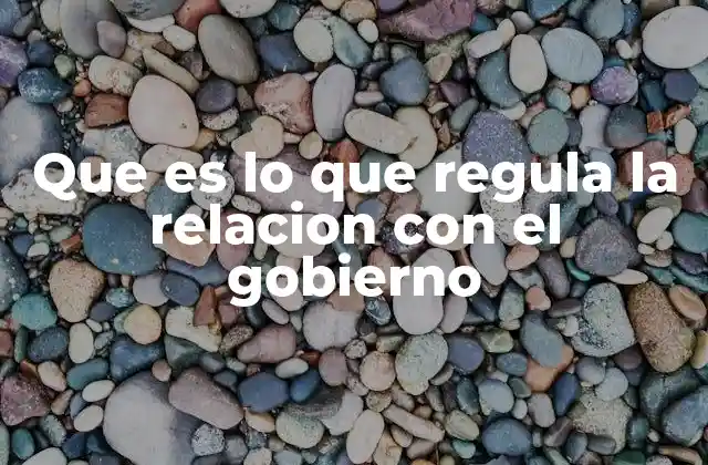 Que es Lo que Regula la Relacion con el Gobierno