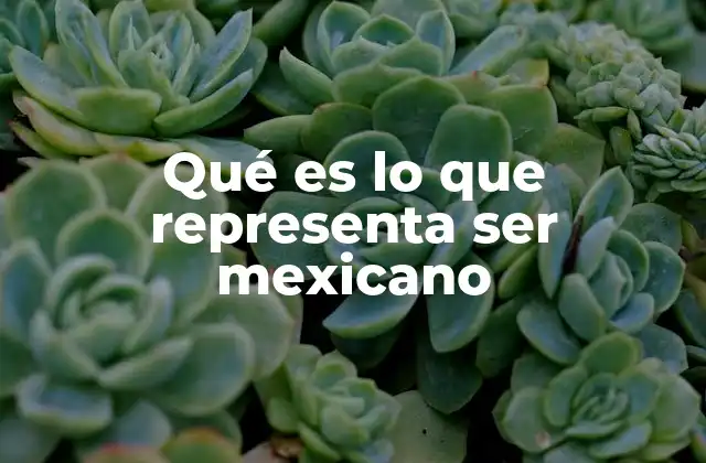 La identidad mexicana en el contexto histórico y social