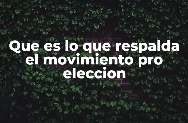 Que es Lo que Respalda el Movimiento Pro Eleccion