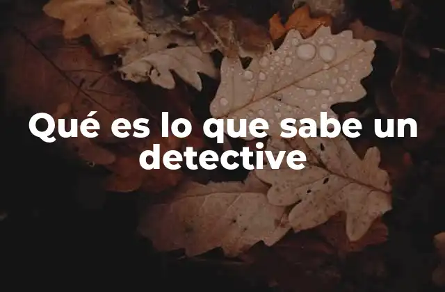 Qué es Lo que Sabe un Detective