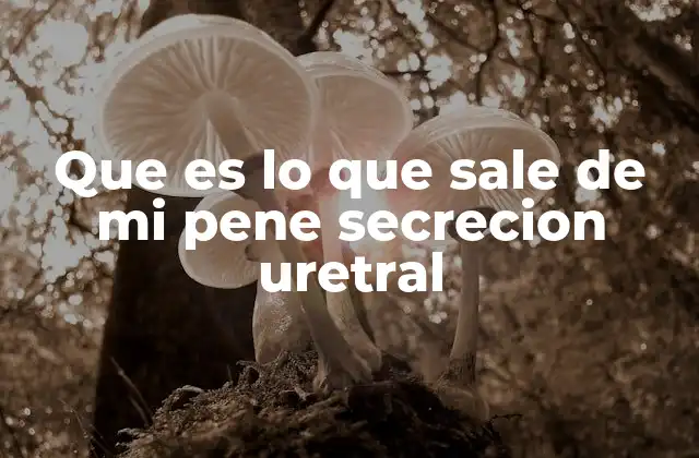 Que es Lo que Sale de Mi Pene Secrecion Uretral 2 Causas comunes de secreción uretral sin mencionar directamente la palabra clave