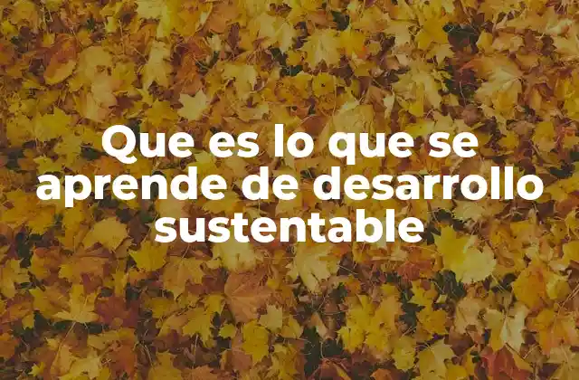 Que es Lo que Se Aprende de Desarrollo Sustentable