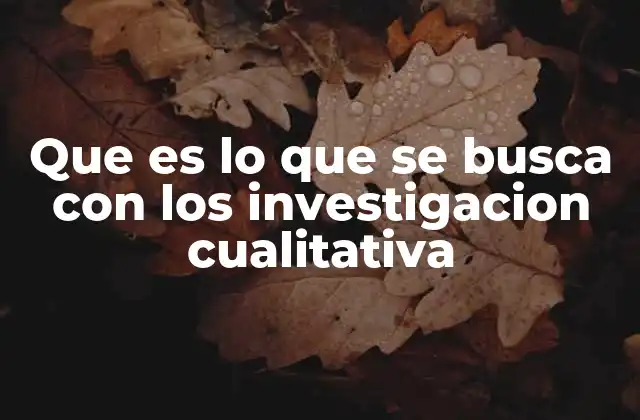 Que es Lo que Se Busca con los Investigacion Cualitativa 2 El enfoque detrás de explorar significados humanos