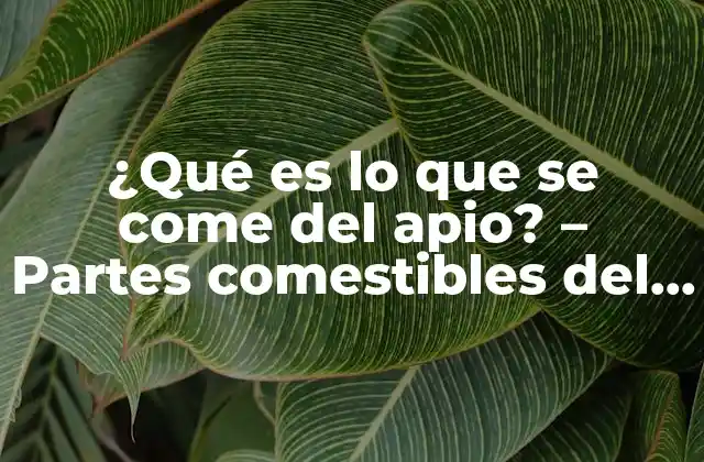 ¿qué es Lo que Se Come Del Apio? – Partes Comestibles Del Apio