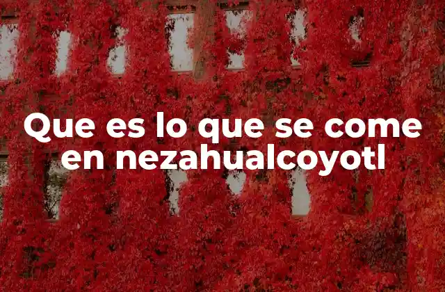 Que es Lo que Se Come en Nezahualcoyotl