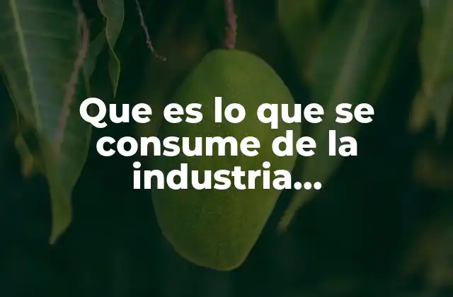 Que es Lo que Se Consume de la Industria Manufacturera
