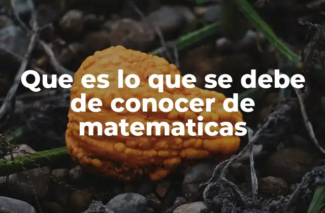 Que es Lo que Se Debe de Conocer de Matematicas