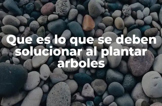 Que es Lo que Se Deben Solucionar Al Plantar Arboles