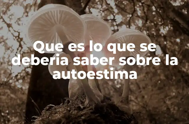 La importancia de comprender tu relación contigo mismo
