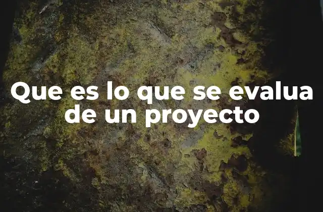 Que es Lo que Se Evalua de un Proyecto