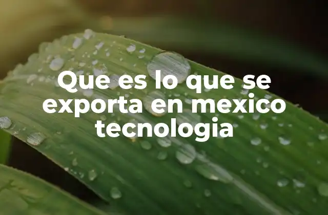 Que es Lo que Se Exporta en Mexico Tecnologia 2 Cómo el sector tecnológico impulsa las exportaciones mexicanas
