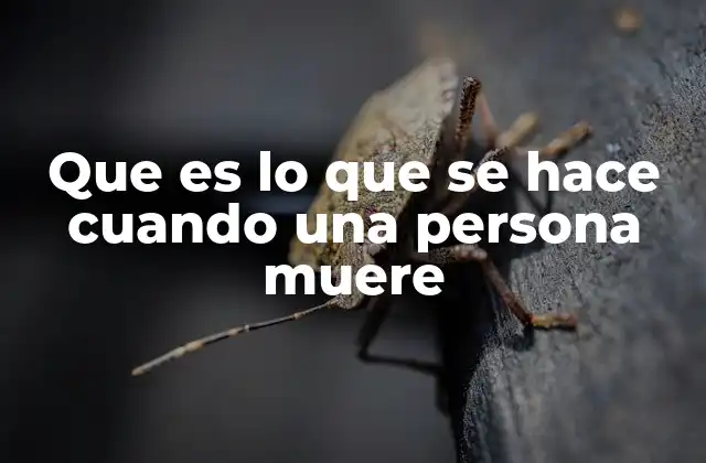 Que es Lo que Se Hace Cuando una Persona Muere 2 El proceso que se sigue tras la pérdida de un ser querido