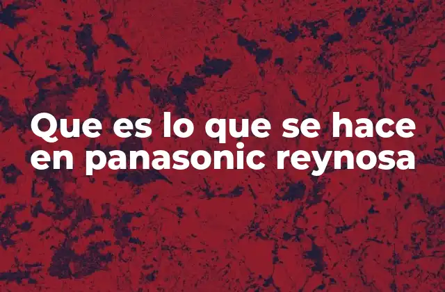 Que es Lo que Se Hace en Panasonic Reynosa