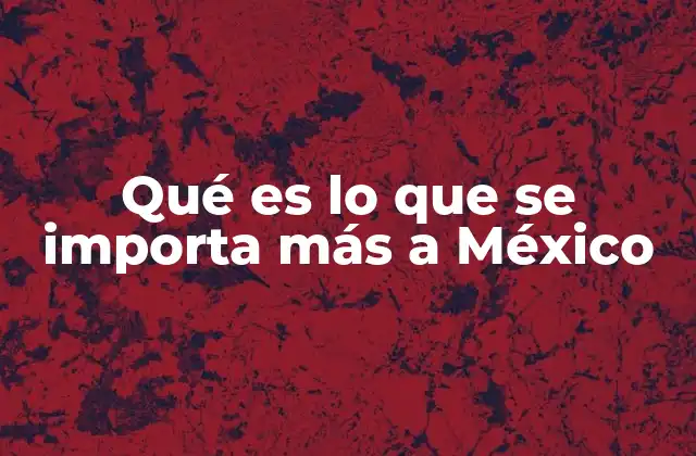 El papel de las importaciones en la economía mexicana