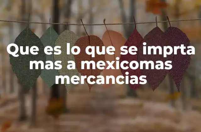 Que es Lo que Se Imprta mas a Mexicomas Mercancias