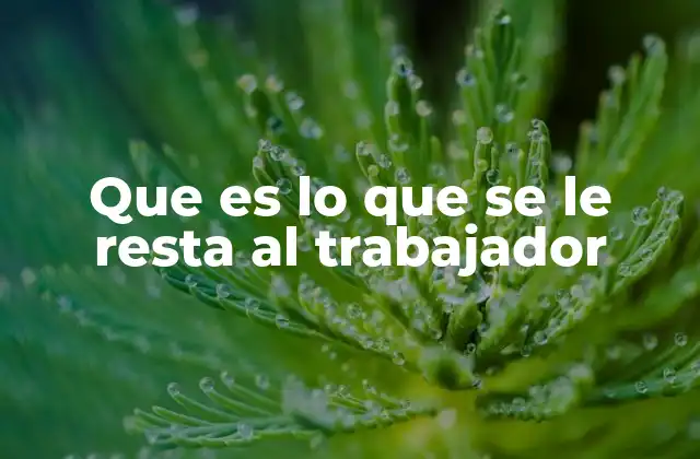 Que es Lo que Se Le Resta Al Trabajador