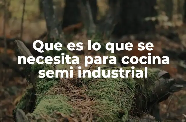 Cómo planificar una cocina semi industrial sin mencionar directamente la palabra clave