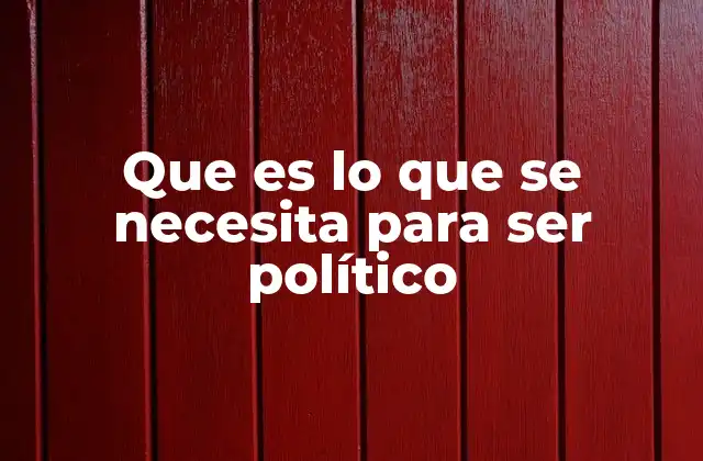 Que es Lo que Se Necesita para Ser Político