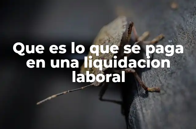 Que es Lo que Se Paga en una Liquidacion Laboral