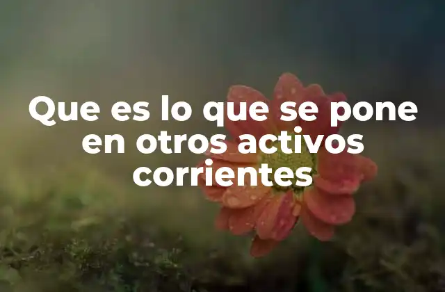 Que es Lo que Se Pone en Otros Activos Corrientes