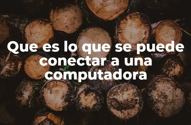 Que es Lo que Se Puede Conectar a una Computadora